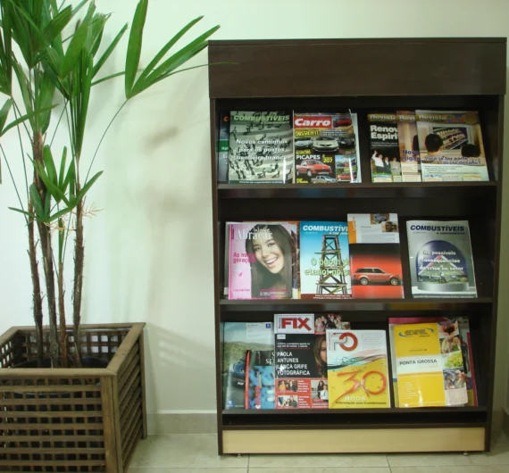 Revistas